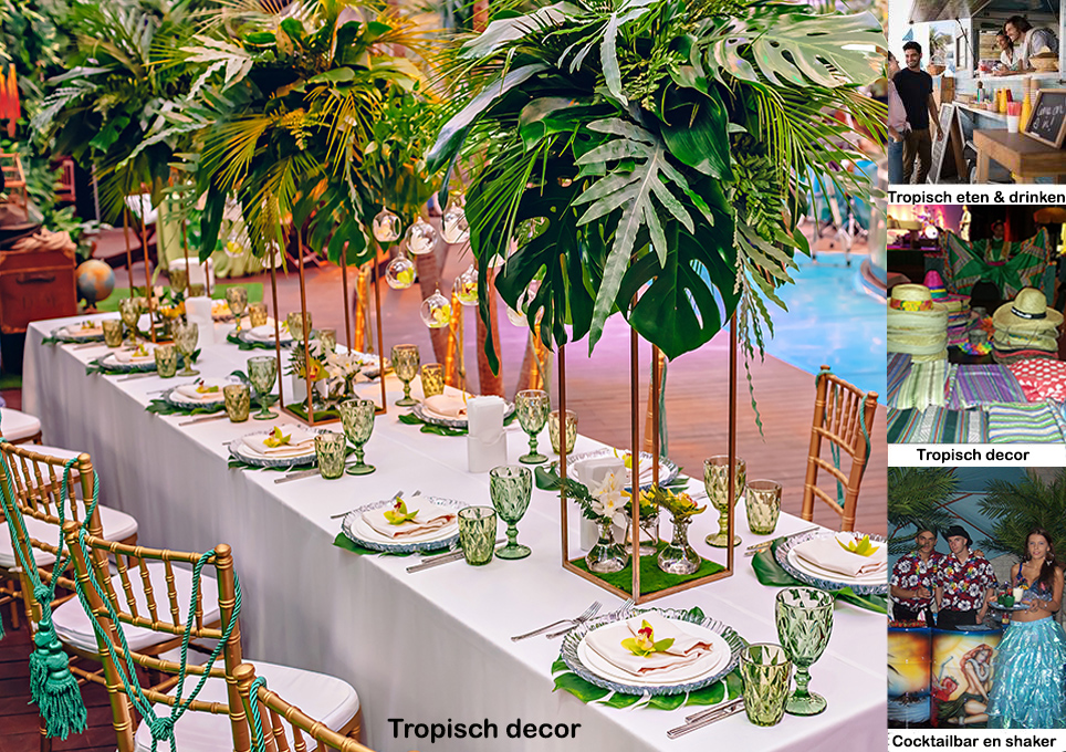 Salsa Tropisch Exotisch