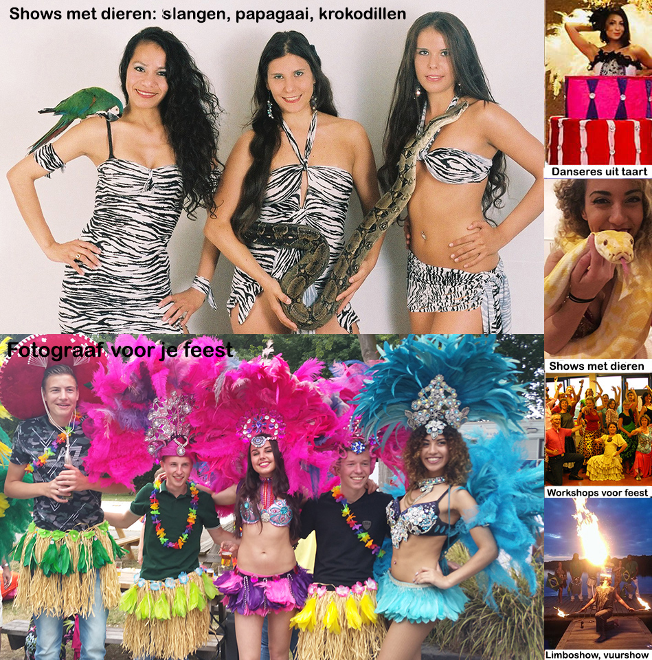 Danseressen Samba Shows