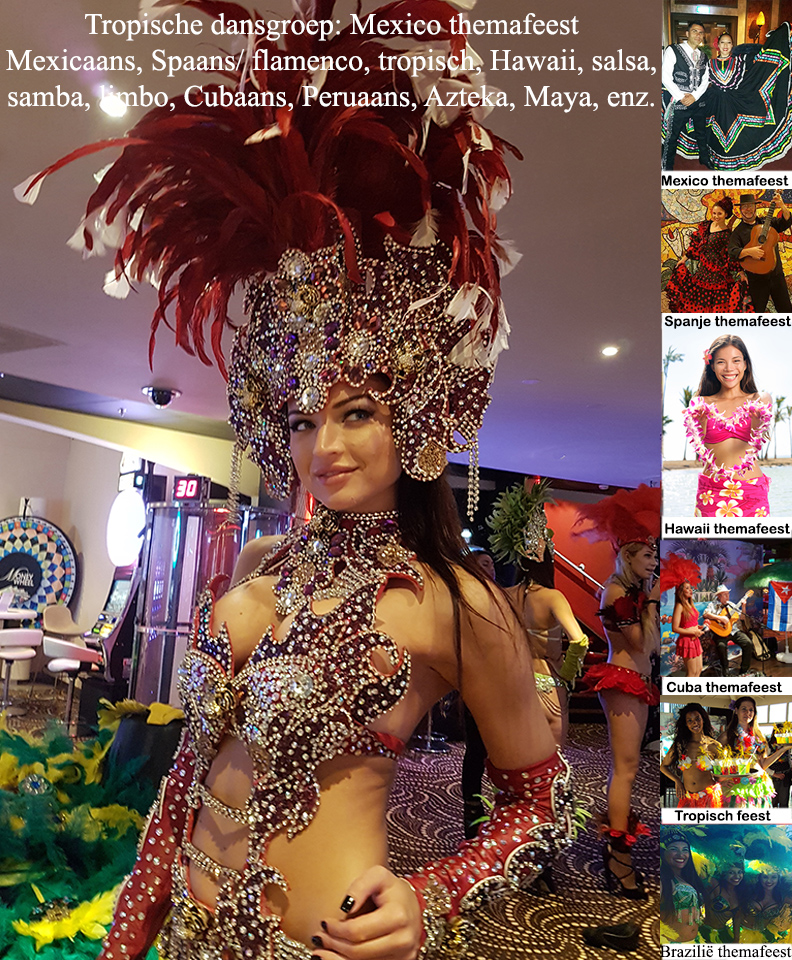 Braziliaanse carnaval in Rio