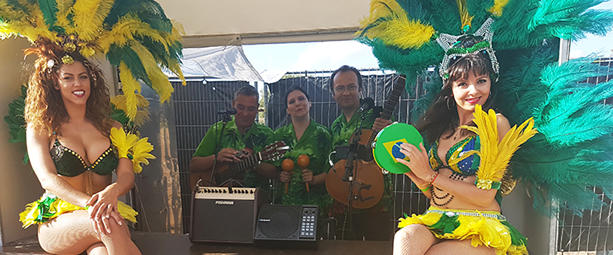 Braziliaanse carnaval in Rio